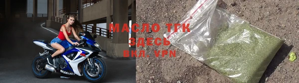 индика Верхний Тагил