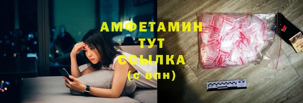 индика Верхний Тагил
