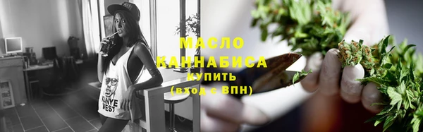 индика Верхний Тагил