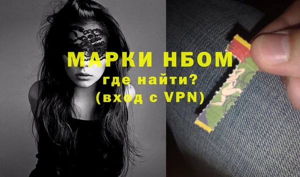 индика Верхний Тагил