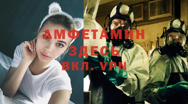 индика Верхний Тагил