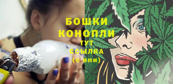 индика Верхний Тагил