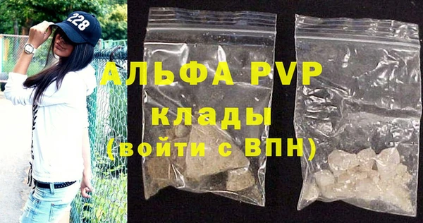 индика Верхний Тагил